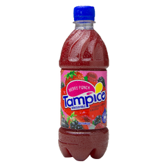 Tampico Fruit Punches (Case)