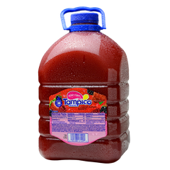 Tampico Fruit Punches (Case)