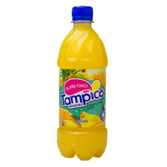 Tampico Fruit Punches (Case)