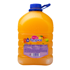 Tampico Fruit Punches (Case)