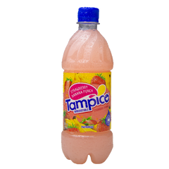 Tampico Fruit Punches (Case)